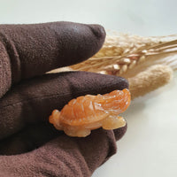 Translucent Icy Brilliant Orangey Jadeite “Dragon Tortoise” (JAM000795) 8