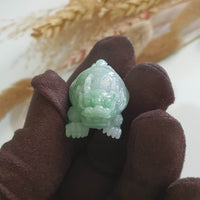 Translucent Icy Green Jadeite “Dragon Tortoise” (JAM000457) 9