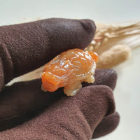 Translucent Icy Brilliant Orangey Jadeite “Dragon Tortoise” (JAM000795) 5