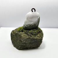 Translucent White and Green Jadeite "Smiley Piglet on Giant Cabbage" (JAM000840) 4